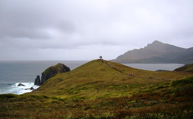Travel to Cape Horn Australis