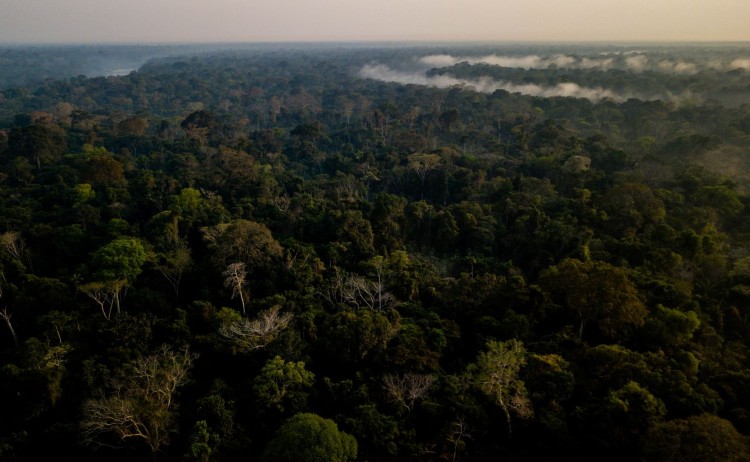 Refugio Amazonas drone view of the forest from the canopy tower SM