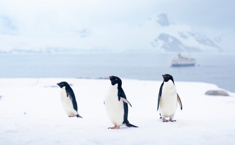 A21 fineart OCN09 CA 2022 23 Yuki Davidoff 9531