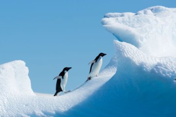 Polar Circle Air-Cruise