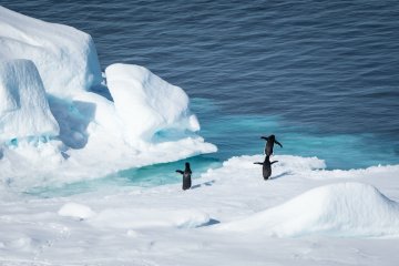 Polar Circle, Deep South Discovery Voyage