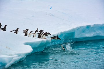 Polar Circle Quest