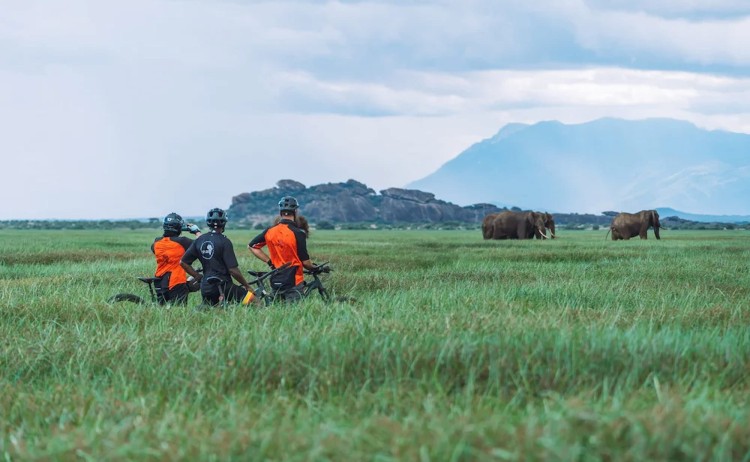 Riding Giants cyclists pausing in a grassy field as two elephants walk in the distance