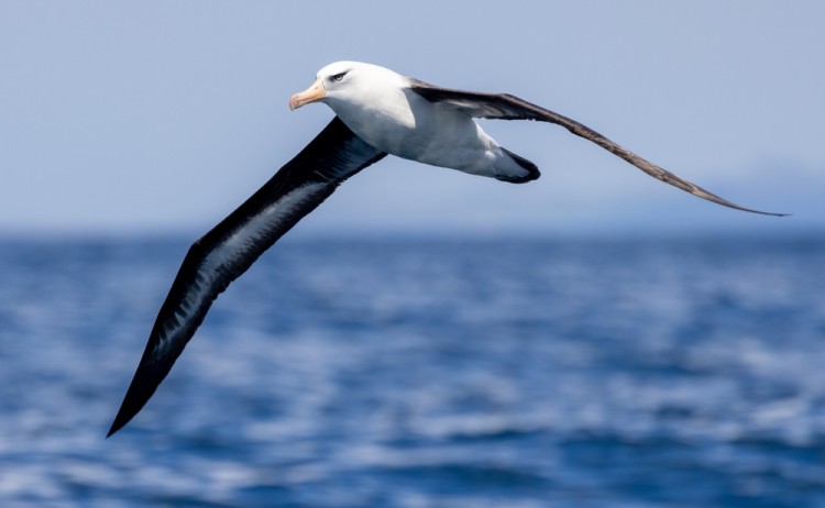 shutterstock 2101558261