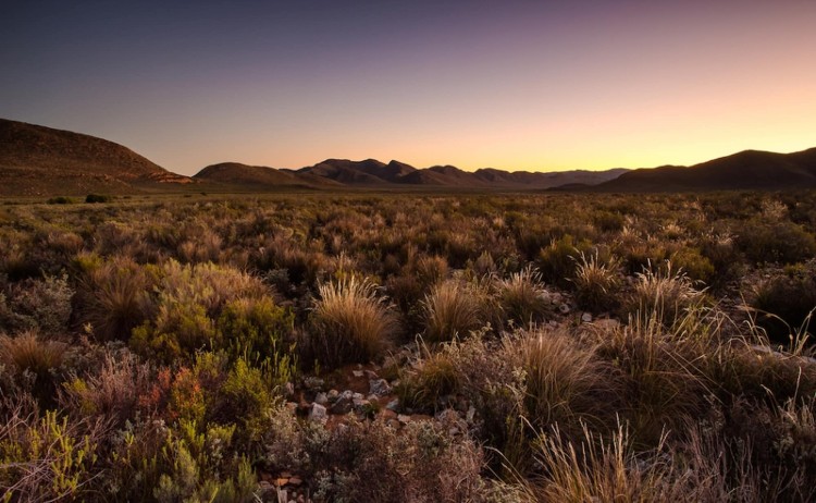 Rovos rail tour Karoo landscape of Tankwa Karoo National Park in South Africa