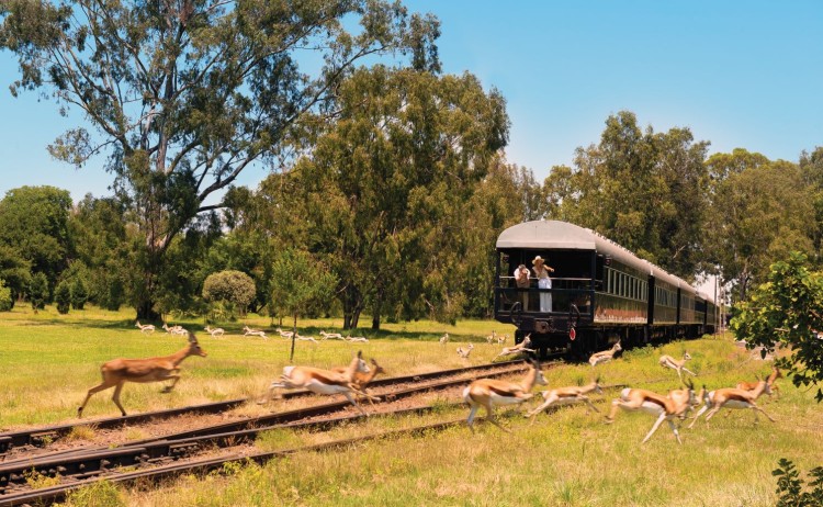 Rovos Rail Train