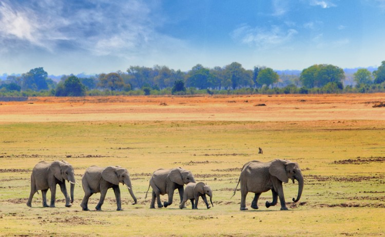 shutterstock 1031210671