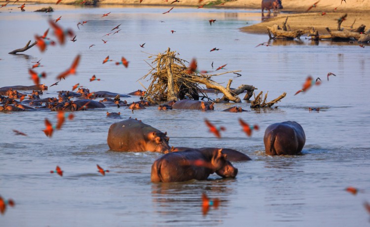 shutterstock 562459843