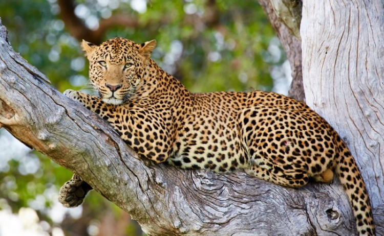 shutterstock 759805957