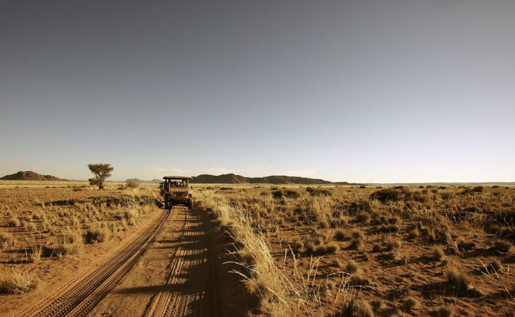 Rovos Rail RVR tour Game drive
