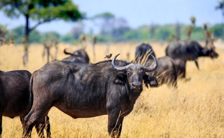 shutterstock 1658055100