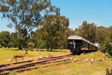 Rovos: Southern Cross