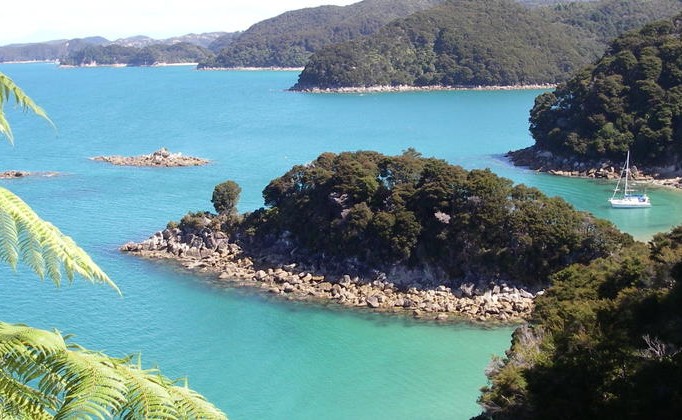 Jamarh in abel Tasman National Park
