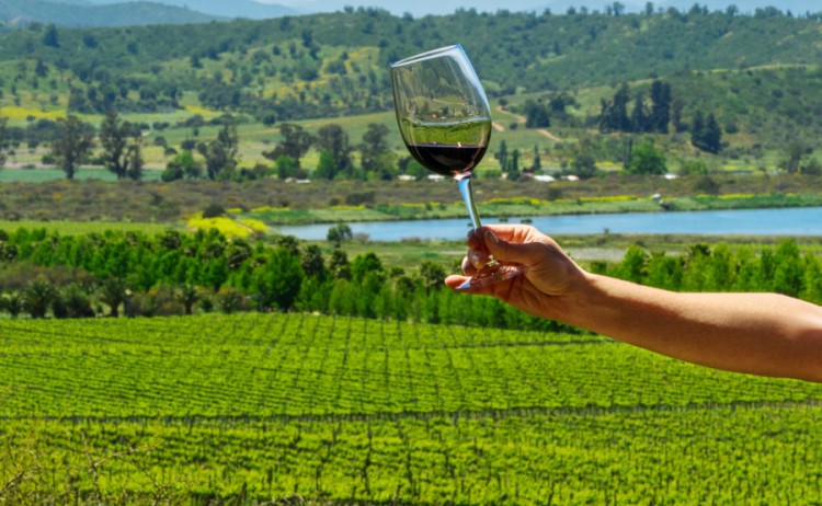 Chile Casablanca valley 1