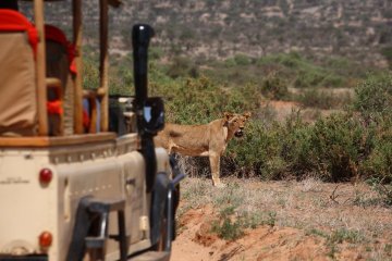 Saruni Experience with Rhino Tracking