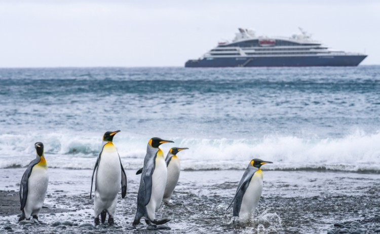 22 Manchots ROyaux devant le Laperouse Macquarie Island Australie Studio Ponant Adrian Freyermut