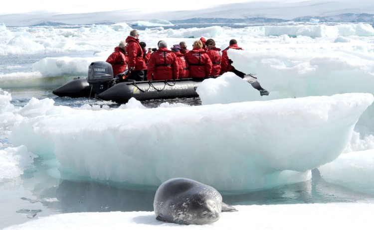 cruising in antarctica