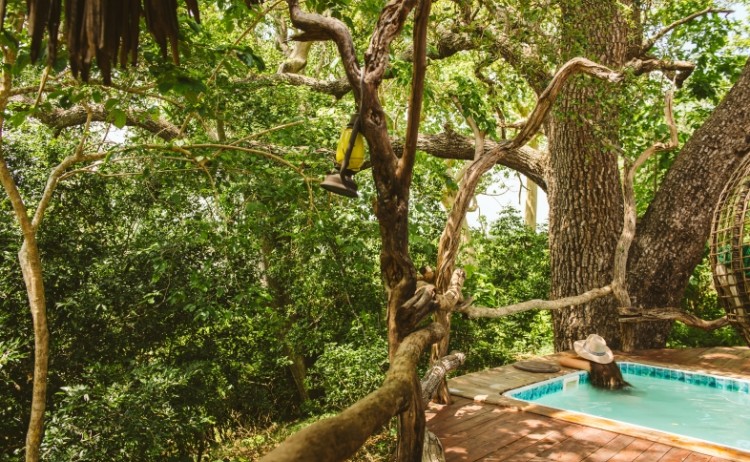 Foxes Rufiji CaseyPratt LoveAfrica 7595