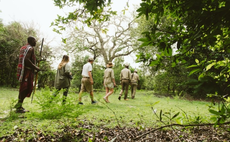 Foxes Rufiji CaseyPratt LoveAfrica 8325