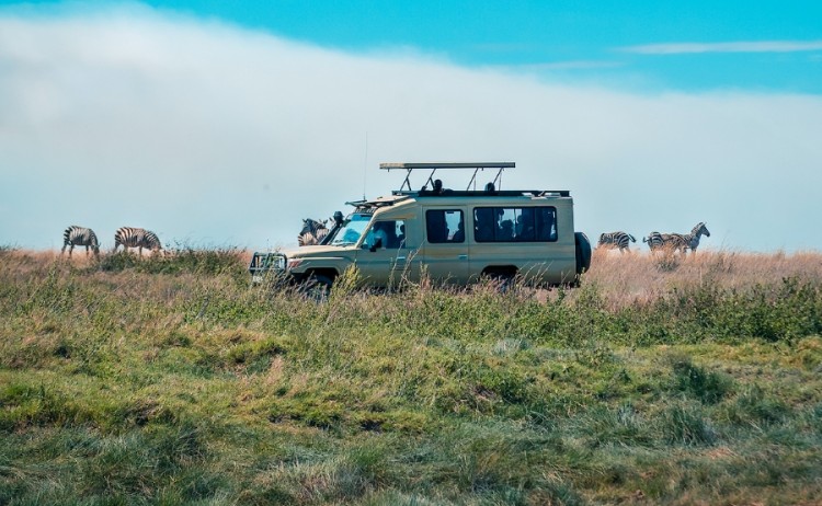 Serengeti Simba Lodge game drive