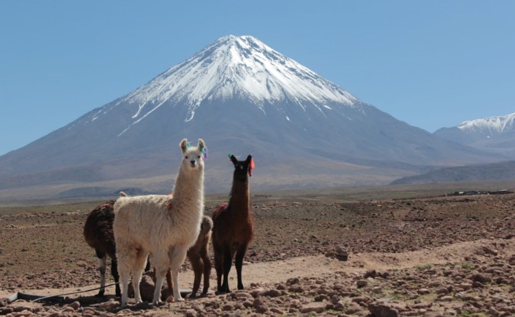 Lincancabur volcano Atacama v3