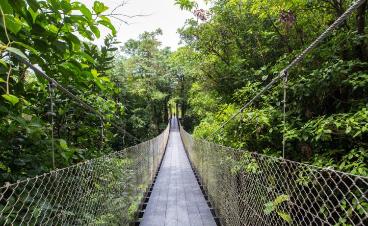 Monteverde Haning bridge