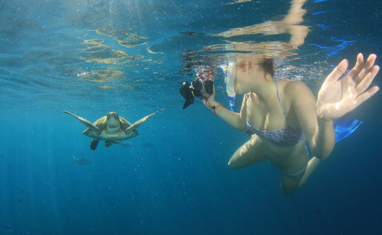 Signature Galapagos Islands Snorkeling excursion