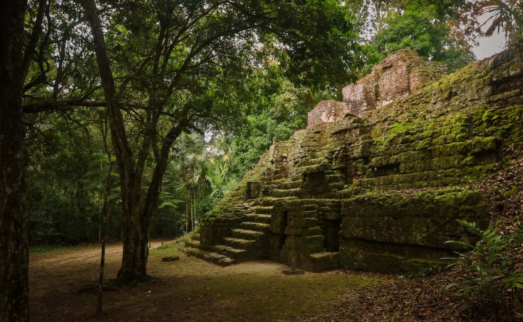 Guatemala tours Exploring the ancient ruins of Tikal surrounded by lush jungle