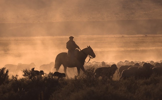 Horseback riding Patagonia