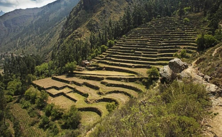 Andeneria Media Luna Las Qolqas