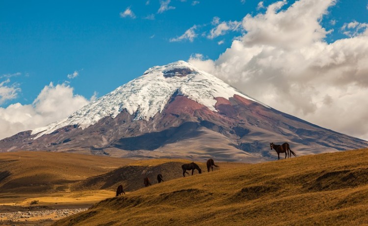 Cotopaxi Ecuador