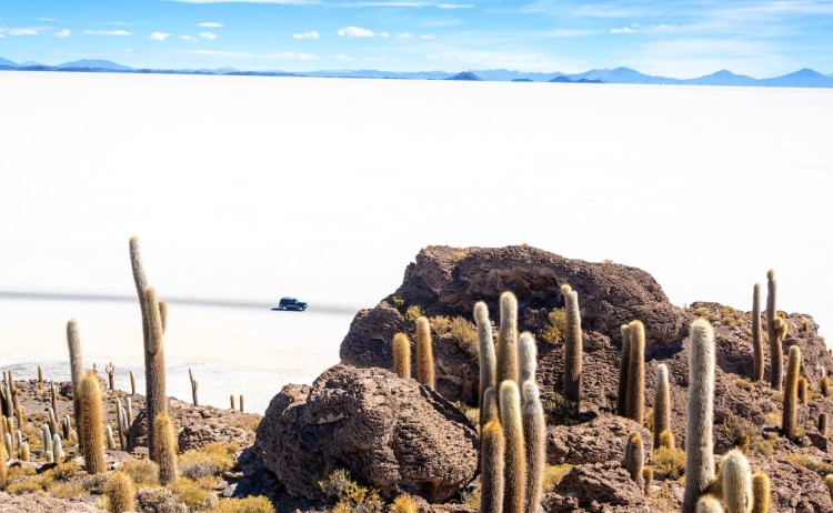 Uyuni Salt Flat as seen from Incahuasi Island v2