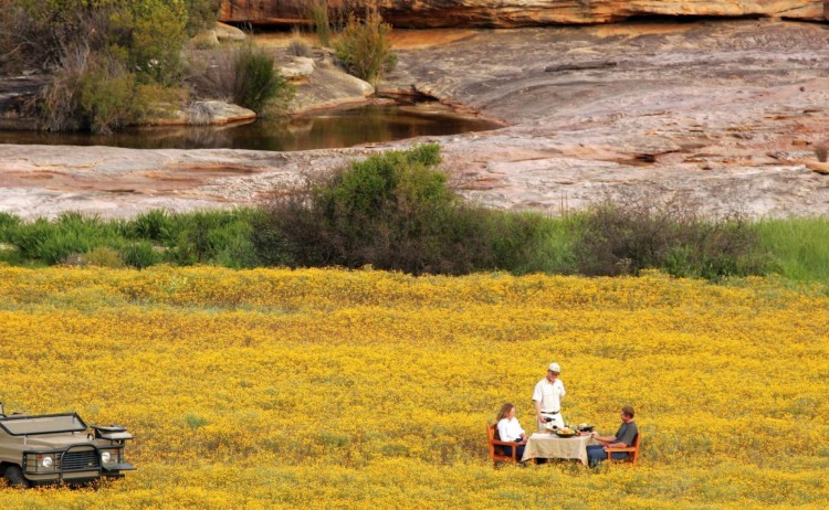 SMALL Bushmans Kloof Wilderness Reserve Wellness Retreat v2.Bushmans Kloof Picnic Experience