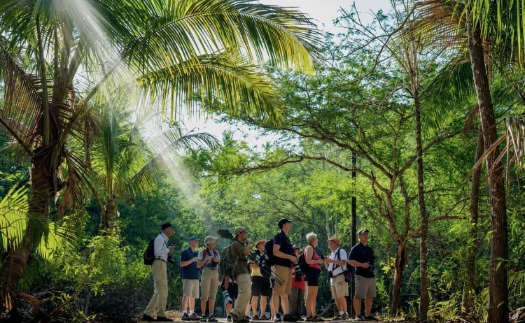 South American Explorer trekking safari