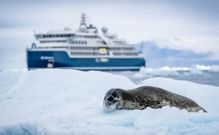 South Atlantic SH Diana in Antarctica