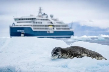 South Atlantic Cruise: South Africa to Antarctica