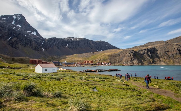 South Georgia Falklands and Antarctic Odyssey Grytviken South Georgia