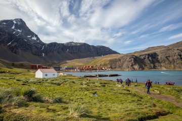 South Georgia, Falklands and Antarctic Odyssey