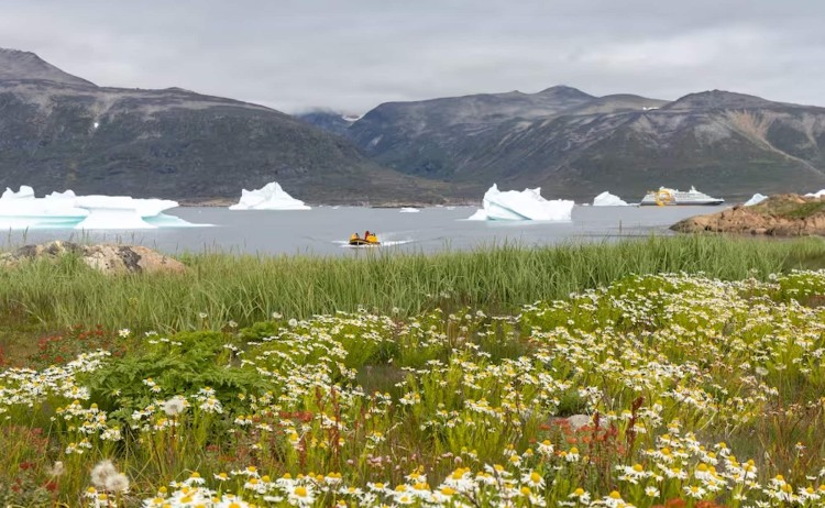 South Greenland cruise Zodiac Cruising 4M9A0929 michellesole