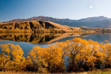 South Island Explorer