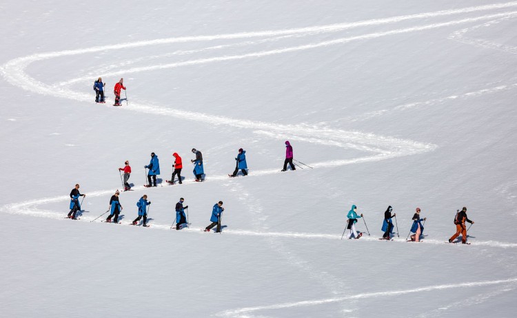 Antarctic Peninsula Snowshoeing PLX