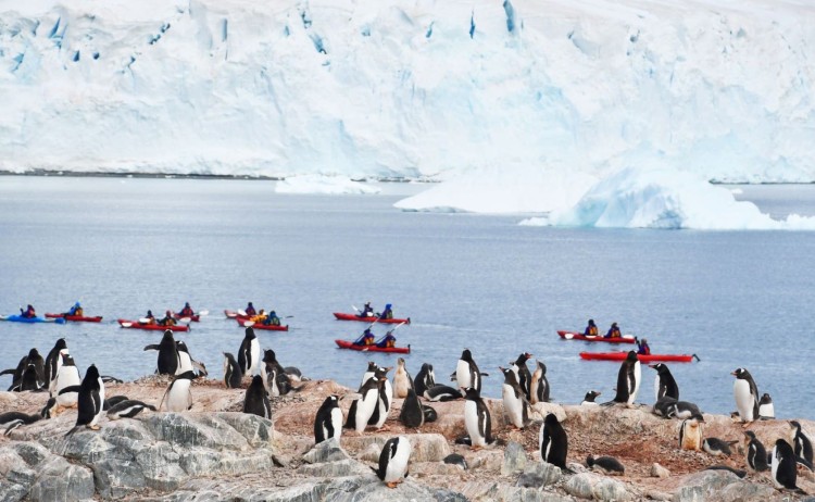 South Shetland Islands kayaking next to penguins Antarctica