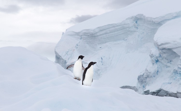 Spirit of Antarctica 7