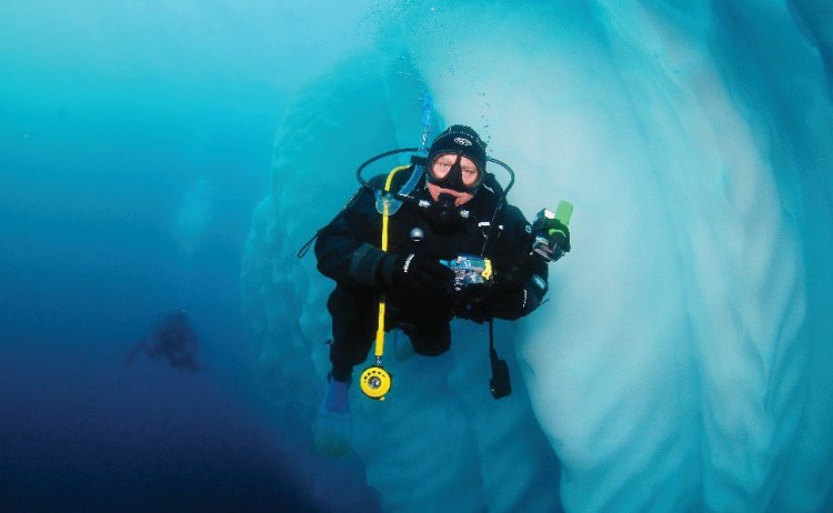 snorkelling underwater in Antarctica Aurora