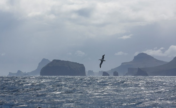 Sub Antarctic Islands Heritage