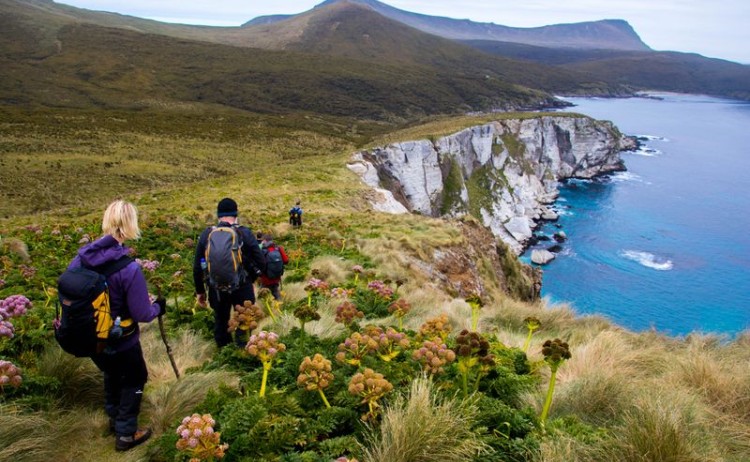 sub Antarctic islands hiking in Capmbell Island