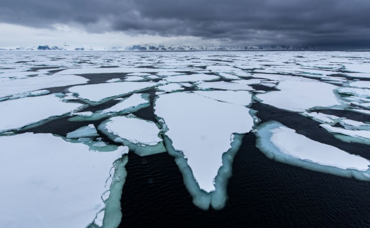 Ice Svalbard