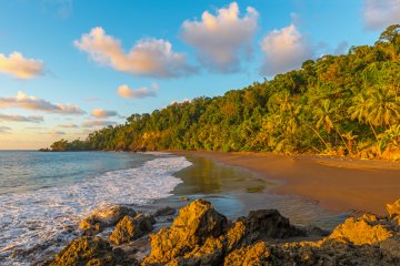 Tamarindo Experience Costa Rica