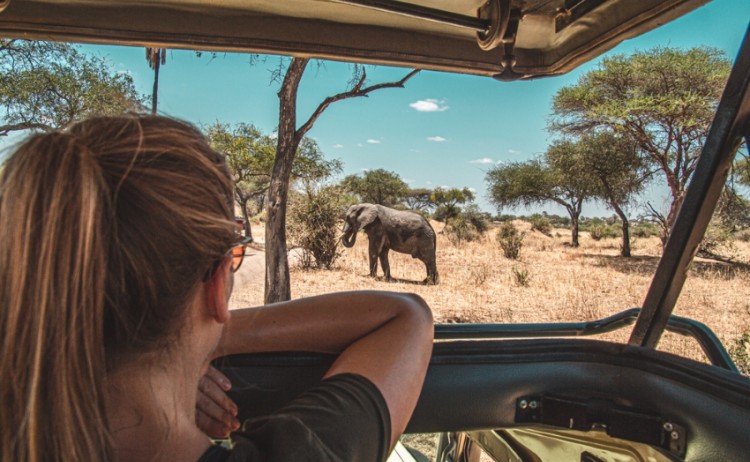 shutterstock 1766882177