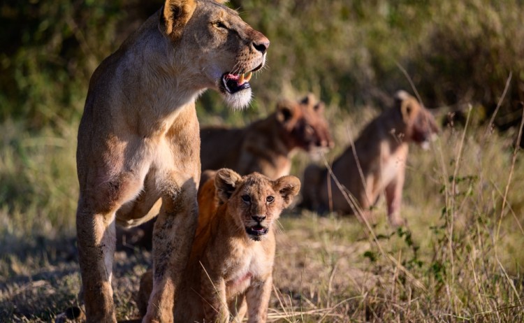 shutterstock 2417942023